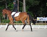 So8ths-5-4-12-Dressage-0323-BevWarner-Arnold-DDeRosaPhoto