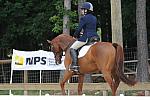 So8ths-5-4-12-Dressage-0390-KerryTracey-BourbonGingerbear-DDeRosaPhoto