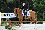 So8ths-5-4-12-Dressage-1364-SarahZimmer-MardiGras-DDeRosaPhoto