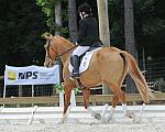 So8ths-5-4-12-Dressage-1370-SarahZimmer-MardiGras-DDeRosaPhoto