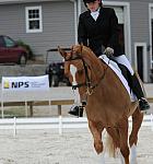 So8ths-5-4-12-Dressage-1373-SarahZimmer-MardiGras-DDeRosaPhoto