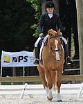 So8ths-5-4-12-Dressage-1378-SarahZimmer-MardiGras-DDeRosaPhoto