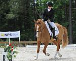 So8ths-5-4-12-Dressage-1384-SarahZimmer-MardiGras-DDeRosaPhoto