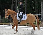 So8ths-5-4-12-Dressage-1388-SarahZimmer-MardiGras-DDeRosaPhoto