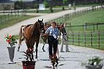 Veterinary Inspection