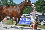 So8ths-5-3-12-1stJog-2114-KindellBillingsley-Keeneland-N3D-DDeRosaPhoto