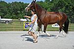 So8ths-5-3-12-1stJog-2118-KindellBillingsley-Keeneland-N3D-DDeRosaPhoto