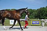 So8ths-5-3-12-1stJog-2131-SarahMorton-Womble-N3D-DDeRosaPhoto