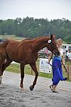 So8ths-5-6-12-SJDay-4202-KelseyBriggs-TheItalianJob-N3D-DDeRosaPhoto