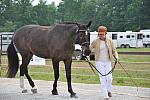 So8ths-5-6-12-SJDay-4244-SarahMorton-Womble-N3D-DDeRosaPhoto