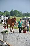 So8ths-5-6-12-SJDay-4131-KerryTracey-BourbonGingerbear-T3D-DDeRosaPhoto