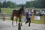 So8ths-5-6-12-SJDay-4155-LindsayStaianoWilliams-TriumphII-T3D-DDeRosaPhoto