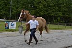 So8ths-5-2-13-Clinics-6605-DDeRosaPhoto