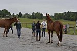 So8ths-5-2-13-Clinics-6739-DDeRosaPhoto