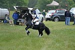 So8ths-5-4-13-XC-6808-LauraWellbaum-OhSullivan-DDeRosaPhoto