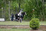 So8ths-5-4-13-XC-6832-LauraWellbaum-OhSullivan-DDeRosaPhoto