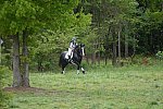 So8ths-5-4-13-XC-6836-LauraWellbaum-OhSullivan-DDeRosaPhoto