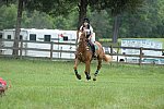 So8ths-5-4-13-XC-7030-CarolMahoney-MercuryRising-DDeRosaPhoto