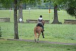 So8ths-5-4-13-XC-7057-CarolMahoney-MercuryRising-DDeRosaPhoto