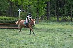 So8ths-5-4-13-XC-7067-CarolMahoney-MercuryRising-DDeRosaPhoto