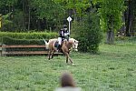 So8ths-5-4-13-XC-7126-TaylorPence-Goldie-DDeRosaPhoto