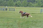 So8ths-5-4-13-XC-6425-BrianaTimmerman-ASplashofHenry-DDeRosaPhoto