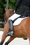 Dressage