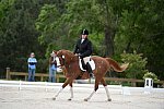 So8ths-5-3-13-Dressage-5335-ErinHite-Codachrome-DDeRosaPhoto