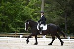 So8ths-5-3-13-Dressage-5383-LauraWellbaum-OhSullivan-DDeRosaPhoto
