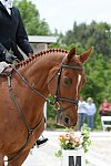 So8ths-5-3-13-Dressage-5437-PaitonKeen-WorthTheWait-DDeRosaPhoto