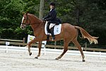 So8ths-5-3-13-Dressage-5556-CarolMahoney-MercuryRising-DDeRosaPhoto