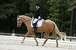 So8ths-5-3-13-Dressage-5575-TaylorPence-Goldie-DDeRosaPhoto