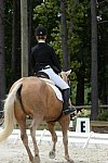 So8ths-5-3-13-Dressage-5579-TaylorPence-Goldie-DDeRosaPhoto