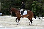So8ths-5-3-13-Dressage-5657-CatiePannill-KokoaKat-DDeRosaPhoto