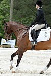 So8ths-5-3-13-Dressage-5659-CatiePannill-KokoaKat-DDeRosaPhoto