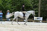 So8ths-5-3-13-Dressage-5690-Kaitlyferrell-BeyondTheLimits-DDeRosaPhoto