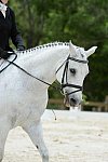 So8ths-5-3-13-Dressage-5695-Kaitlyferrell-BeyondTheLimits-DDeRosaPhoto