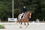 So8ths-5-3-13-Dressage-5026-SarahZimmer-MardiGras-DDeRosaPhoto