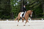 So8ths-5-3-13-Dressage-5027-SarahZimmer-MardiGras-DDeRosaPhoto