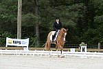 So8ths-5-3-13-Dressage-5035-SarahZimmer-MardiGras-DDeRosaPhoto