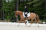 So8ths-5-3-13-Dressage-5044-SarahZimmer-MardiGras-DDeRosaPhoto