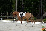 So8ths-5-3-13-Dressage-5050-SarahZimmer-MardiGras-DDeRosaPhoto