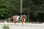 So8ths-5-3-13-Dressage-5055-SarahZimmer-MardiGras-DDeRosaPhoto