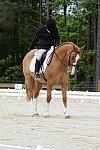 So8ths-5-3-13-Dressage-5065-SarahZimmer-MardiGras-DDeRosaPhoto