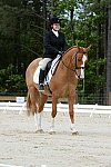 So8ths-5-3-13-Dressage-5066-SarahZimmer-MardiGras-DDeRosaPhoto