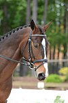 So8ths-5-3-13-Dressage-5085-SamanthaHay-TreJolie-DDeRosaPhoto