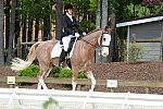 So8ths-5-3-13-Dressage-5110-BrianaTimmerman-ASplashofHenry-DDeRosaPhoto