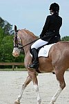 So8ths-5-3-13-Dressage-5118-BrianaTimmerman-ASplashofHenry-DDeRosaPhoto