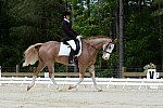 So8ths-5-3-13-Dressage-5124-BrianaTimmerman-ASplashofHenry-DDeRosaPhoto