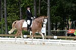 So8ths-5-3-13-Dressage-5125-BrianaTimmerman-ASplashofHenry-DDeRosaPhoto